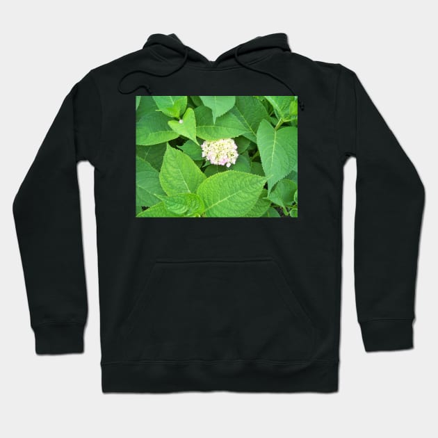 Hydrangea Hoodie by Jujucreation